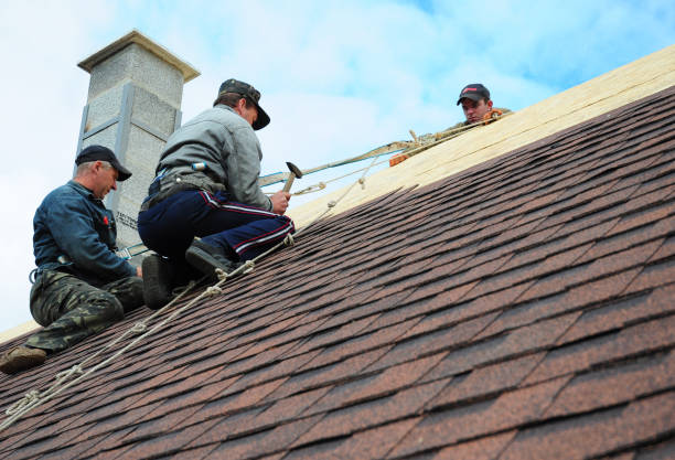 Best Flat Roof Repair Services  in Lmdale, PA